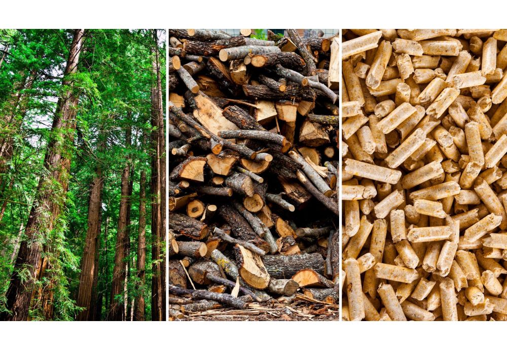 Salamandras a pellets: aquecimento renovável